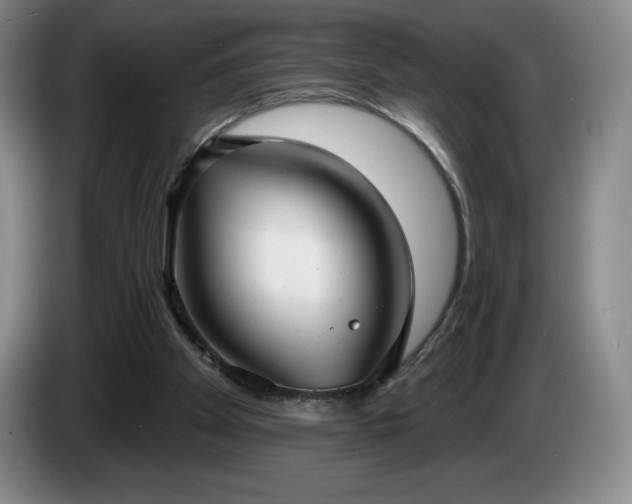 X0000085000105200703121509