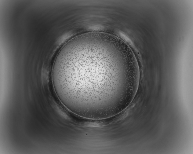 X0000085000106200703121509