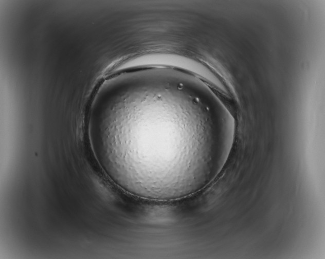 X0000085000107200703121509