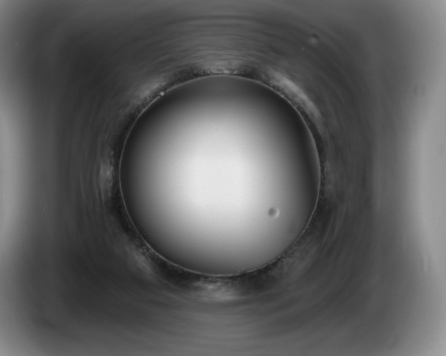 X0000085000113200703121509