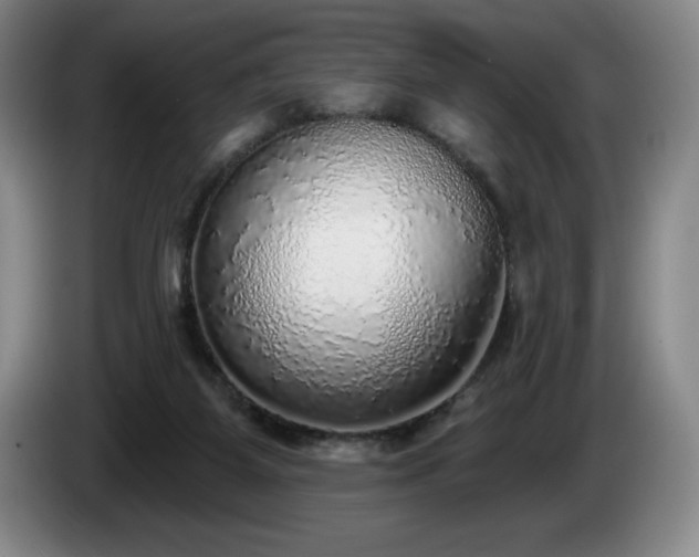 X0000085000115200703121509