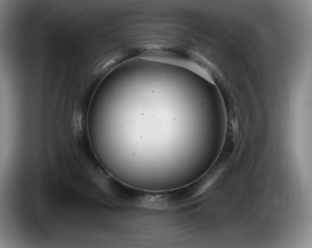 X0000085000117200703121508