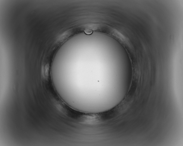 X0000085000118200703121508