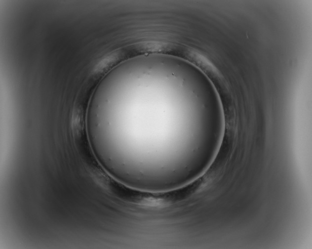 X0000085000119200703121508