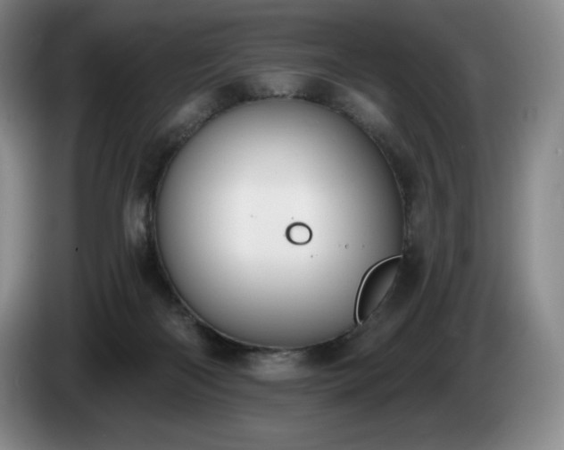 X0000085000122200703121508