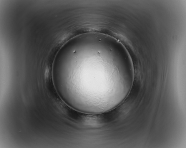 X0000085000123200703121508