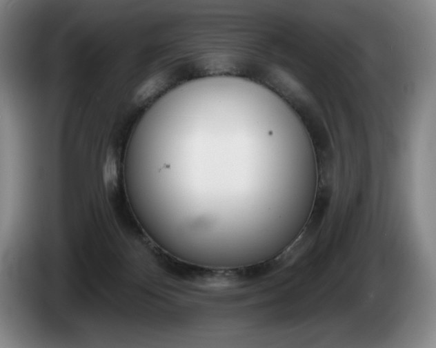 X0000085000124200703121508