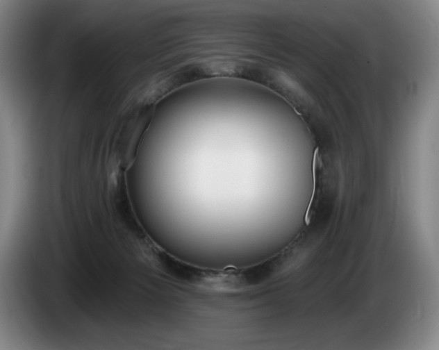 X0000085000125200703121508