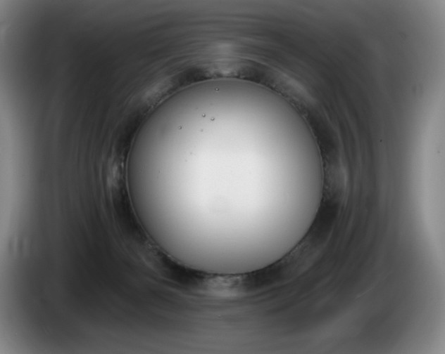 X0000085000126200703121508