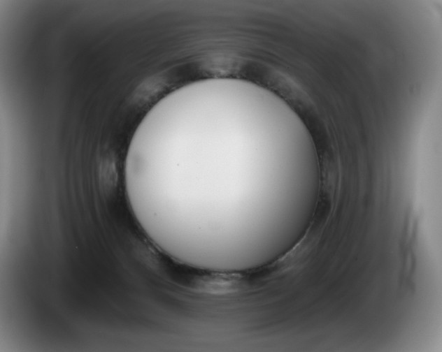 X0000085000128200703121508