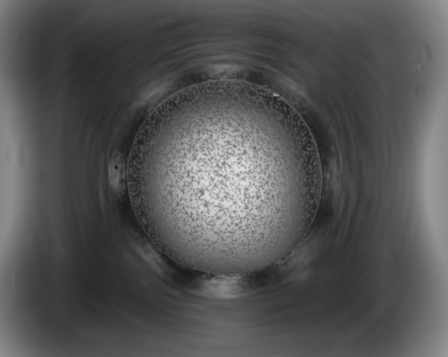 X0000085000138200703121508