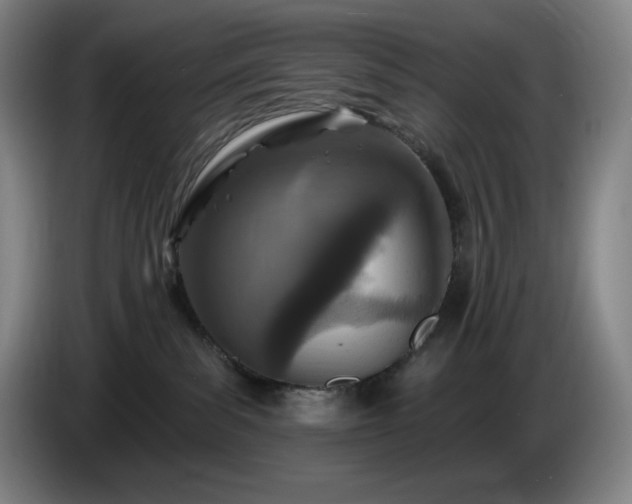 X0000085000139200703121508