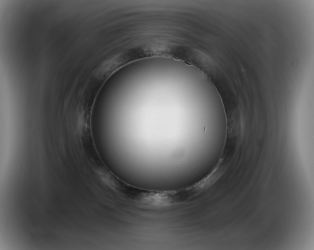 X0000085000140200703121508