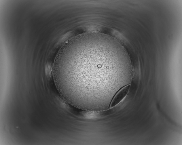 X0000085000142200703121508