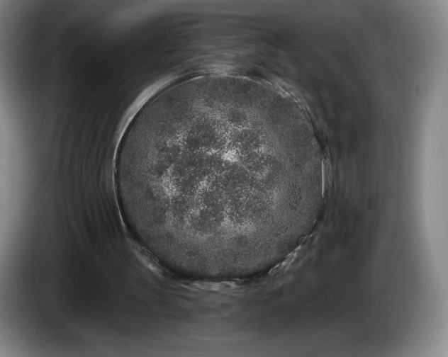 X0000085000147200703121507