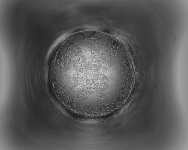 X0000085000149200703121507