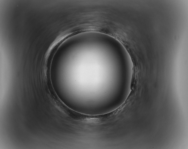 X0000085000150200703121508