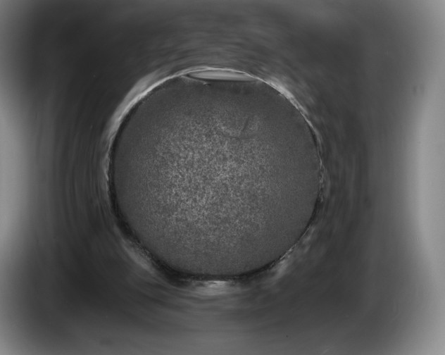 X0000085000151200703121508