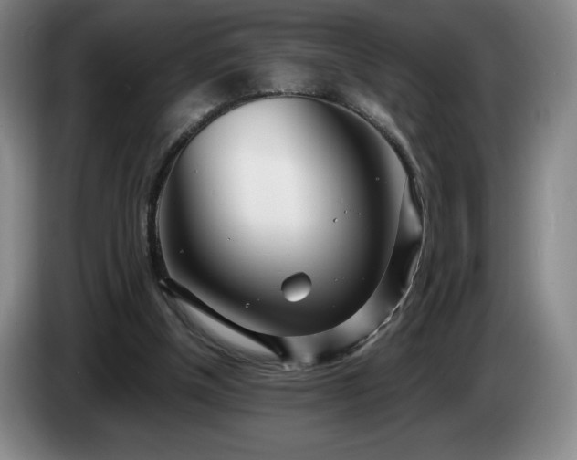 X0000085000154200703121508