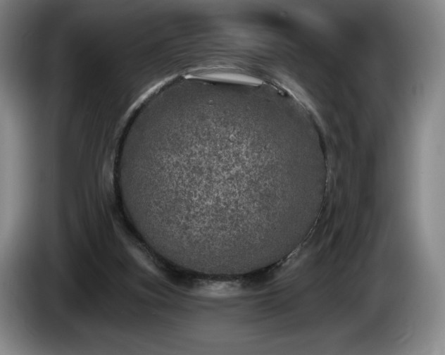 X0000085000155200703121508