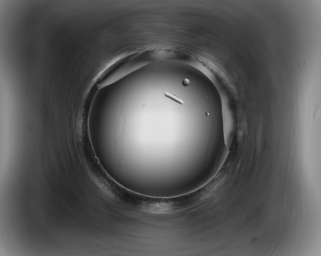 X0000085000156200703121508