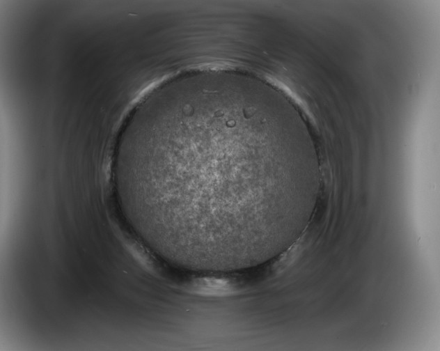 X0000085000159200703121508