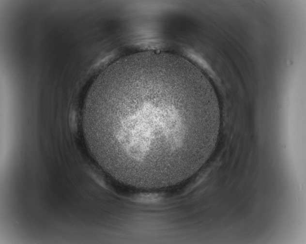 X0000085000161200703121508