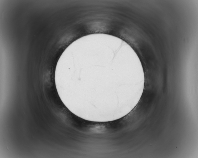 X0000085000162200703121508