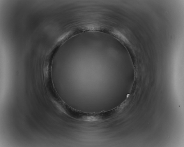 X0000085000163200703121508