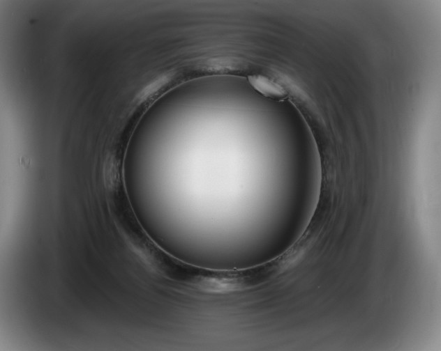 X0000085000164200703121508