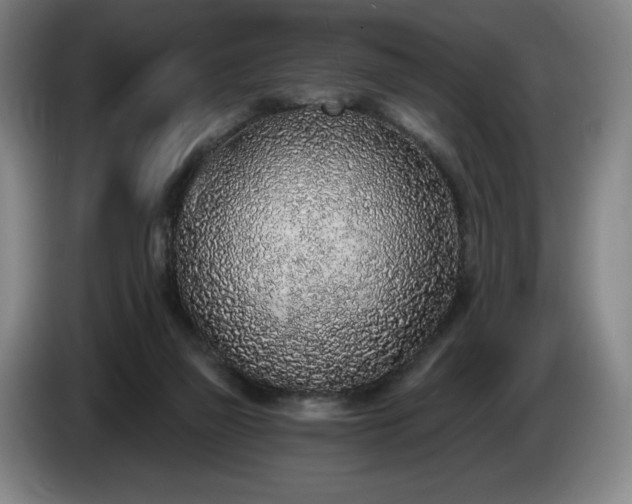 X0000085000165200703121508