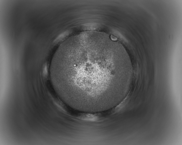 X0000085000166200703121508