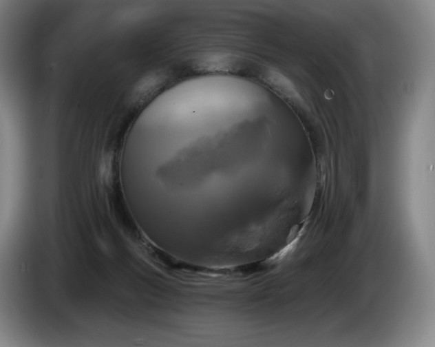 X0000085000167200703121508