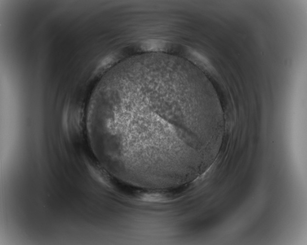 X0000085000171200703121508