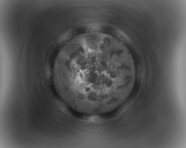 X0000085000173200703121508