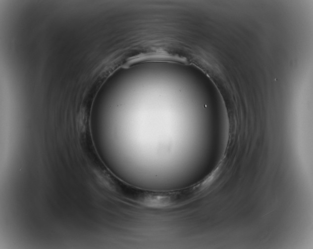 X0000085000174200703121508