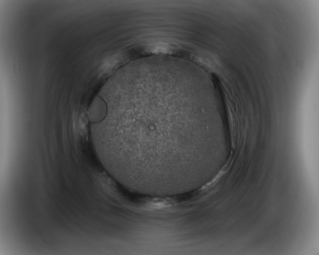 X0000085000175200703121508