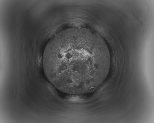 X0000085000177200703121508