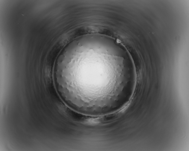 X0000085000178200703121508