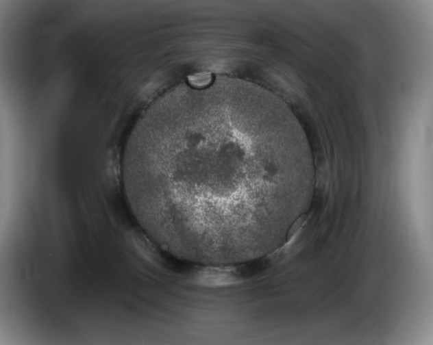 X0000085000179200703121508