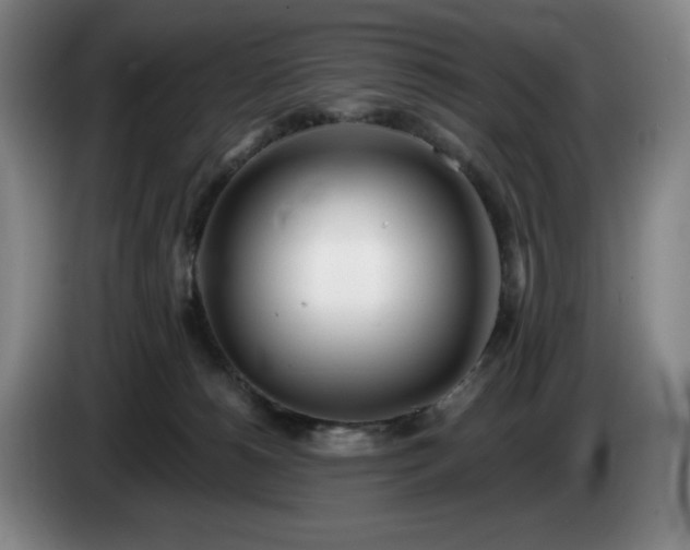 X0000085000180200703121508