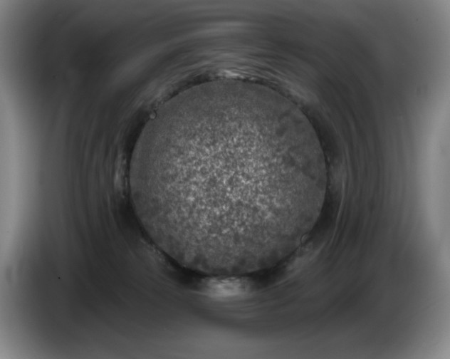 X0000085000181200703121508