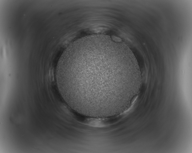 X0000085000182200703121508