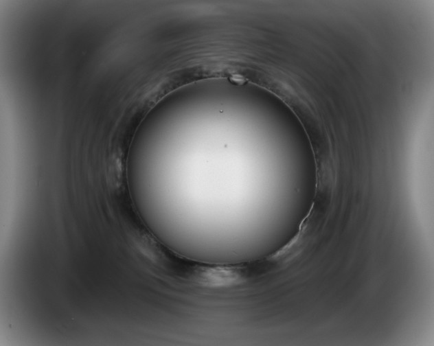 X0000085000183200703121508