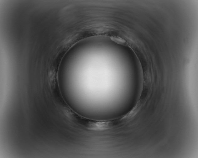 X0000085000184200703121508