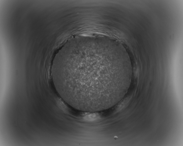 X0000085000185200703121508