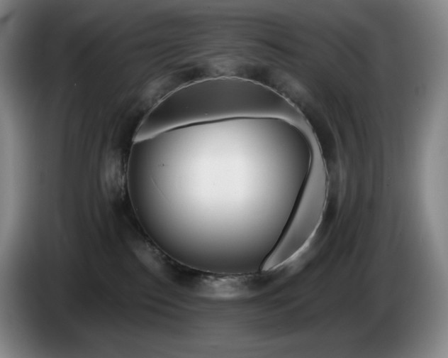 X0000085000186200703121508