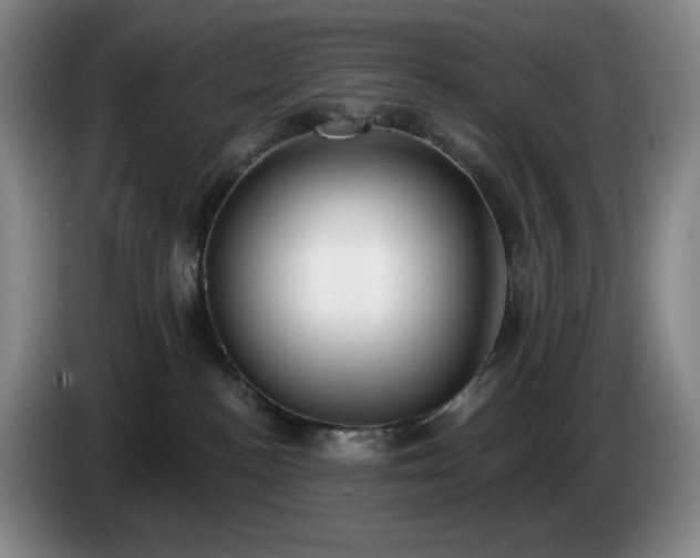 X0000085000188200703121508