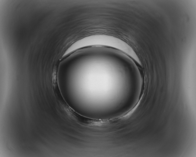 X0000085000190200703121508