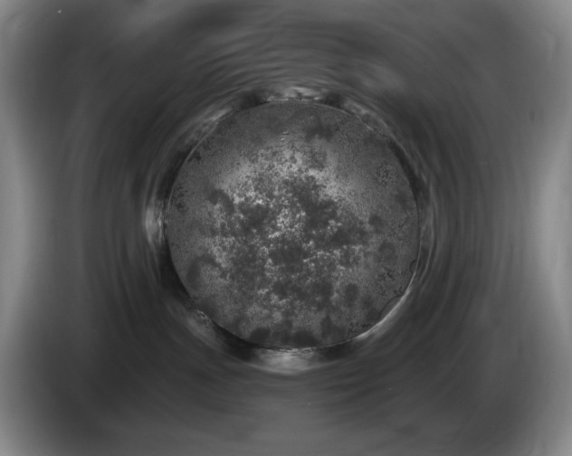 X0000085000191200703121508